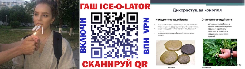 ГАШ Изолятор  Стародуб 