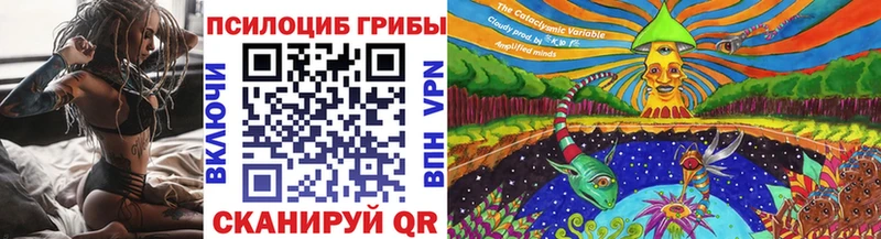 MEGA ССЫЛКА  Стародуб  Псилоцибиновые грибы GOLDEN TEACHER 